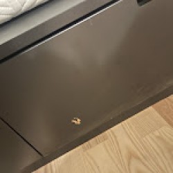 Image uploaded by customer for Teddy Moving and Storage.