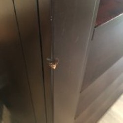 Latest review image uploaded by customer for Two Men and a Truck Moving and Storage Fort Myers.