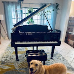 Latest review image uploaded by customer for Hall of Fame Piano Moving & Services,LLC.