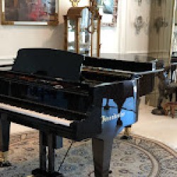 Latest review image uploaded by customer for Hall of Fame Piano Moving & Services,LLC.